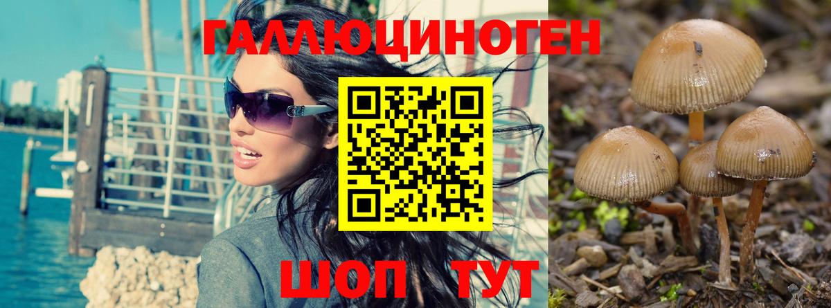 Псилоцибиновые грибы MAGIC MUSHROOMS Сосновый Бор